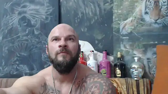 viking 30 online show from 25, 10, 2025