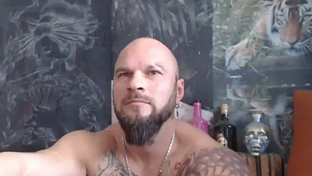 viking 30 online show from 6, 11, 2025