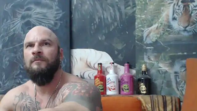 viking 30 online show from 28, 11, 2025