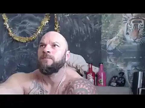 viking 30 online show from 24, 3, 2026