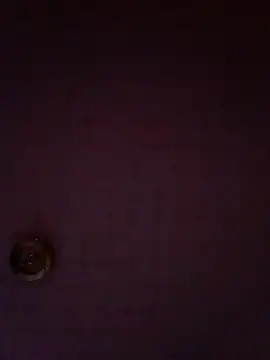 Snapshot of Codymc89 chatting on 22, 7, 2026 Codymc89 online show from 22, 7, 2026