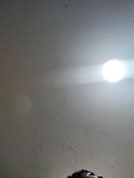 Snapshot of 6lue6a6y69 chatting on 22, 12, 2024 6lue6a6y69 online show from 22, 12, 2024