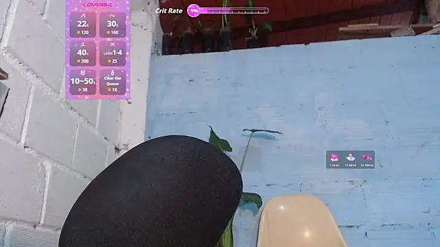 jasminne  online show from 30, 5, 2026