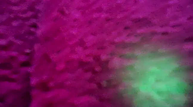 Snapshot of CZboobs chatting on 26, 2, 2025 CZboobs online show from 26, 2, 2025