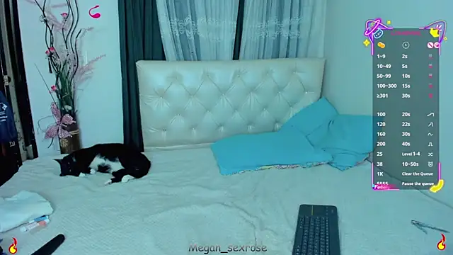 Snapshot of megan_sexrose chatting on 28, 11, 2025 megan sexrose online show from 28, 11, 2025