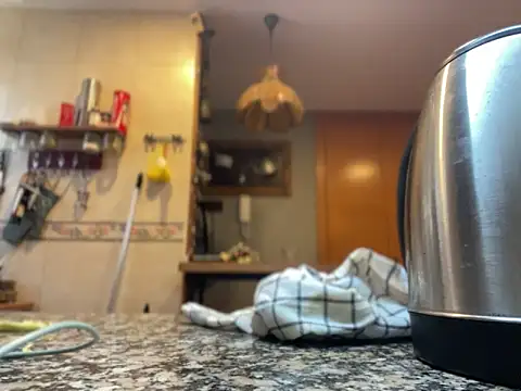 Snapshot of camelia3 chatting on 22, 11, 2025 camelia3 online show from 22, 11, 2025