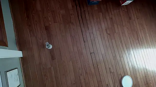 riverside197575 online show from 23, 10, 2025