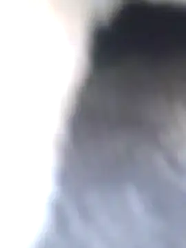 Snapshot of Dirtyfeelin chatting on 27, 1, 2025 Dirtyfeelin online show from 27, 1, 2025