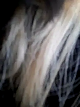 Snapshot of Dirtyfeelin chatting on 14, 12, 2025 Dirtyfeelin online show from 14, 12, 2025