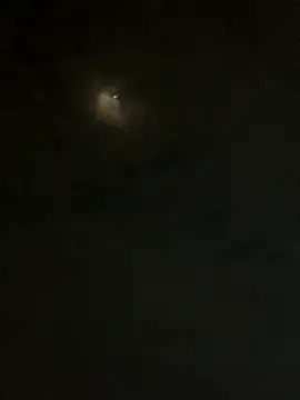 Snapshot of jesusthedonkey chatting on 30, 11, 2025 jesusthedonkey online show from 30, 11, 2025