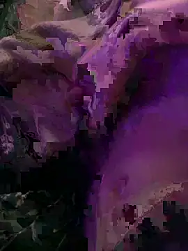 K100x online show from 4, 12, 2025