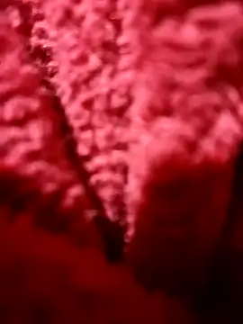 modelo38528061 online show from 14, 12, 2024