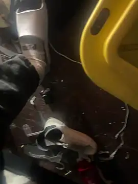 Exclusivenutxxx online show from 23, 1, 2025