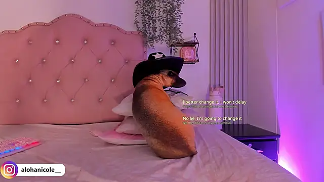 sweet nicole 11 online show from 30, 10, 2025