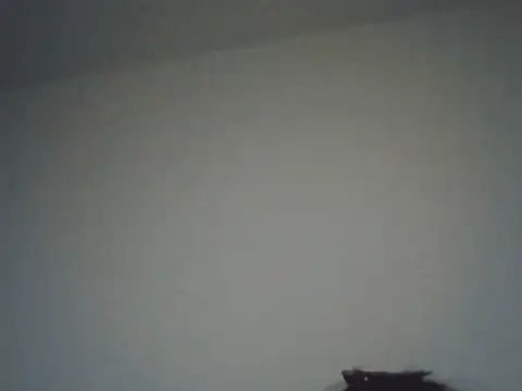 FallenDevil online show from 16, 11, 2025