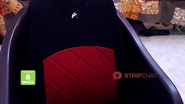 Novapol online show from 2, 3, 2025