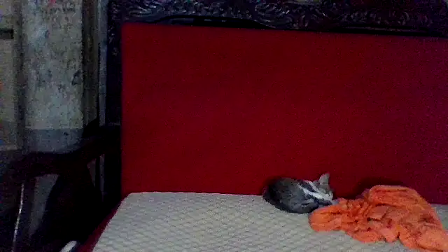 Snapshot of axomen chatting on 16, 2, 2025 axomen online show from 16, 2, 2025