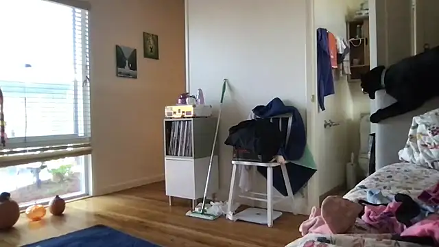 Snapshot of HYPHYtype chatting on 17, 10, 2025 HYPHYtype online show from 17, 10, 2025