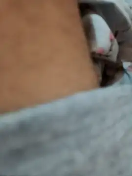 Snapshot of riggijaviersalas chatting on 14, 11, 2025 riggijaviersalas online show from 14, 11, 2025