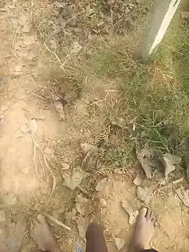 FinableKnee online show from 30, 10, 2025