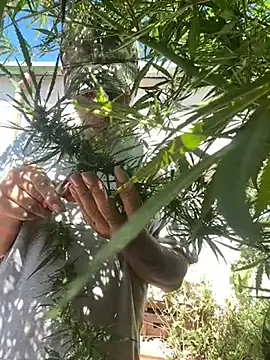 Alicbranca online show from 22, 3, 2026