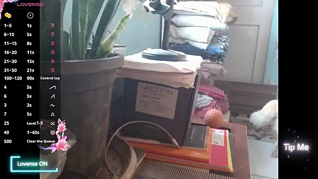 Star-Night online show from 1, 2, 2026