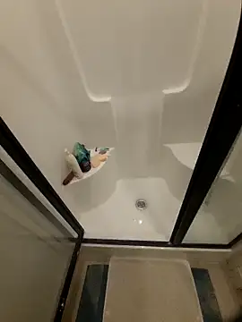 stormiesin6 online show from 10, 2, 2026