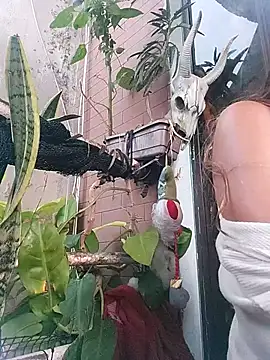 Snapshot of k_lebannon chatting on 20, 2, 2025 k lebannon online show from 20, 2, 2025