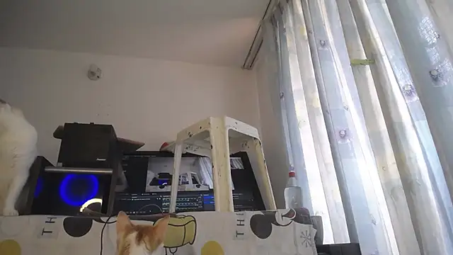 eolicasex online show from 4, 4, 2026