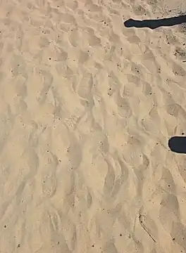 Trucker Hunter online show from 28, 9, 2025