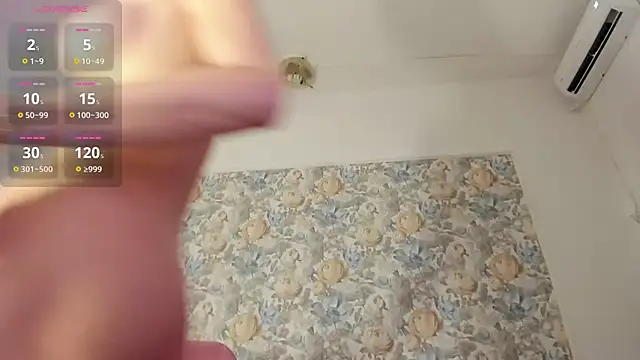 illegal lorry online show from 15, 2, 2026