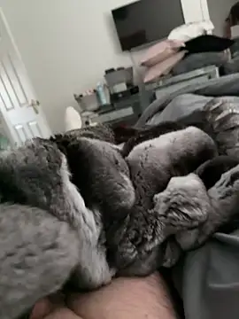 Snapshot of Furdale chatting on 30, 10, 2025 Furdale online show from 30, 10, 2025