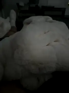 Snapshot of Furdale chatting on 5, 11, 2025 Furdale online show from 5, 11, 2025