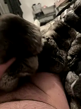 Snapshot of Furdale chatting on 4, 12, 2025 Furdale online show from 4, 12, 2025