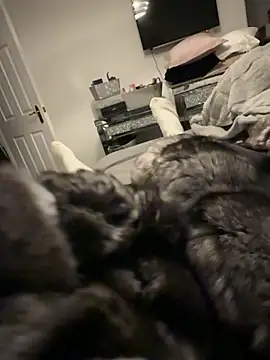 Snapshot of Furdale chatting on 17, 12, 2025 Furdale online show from 17, 12, 2025