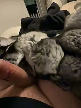 Furdale online show from 3, 2, 2026