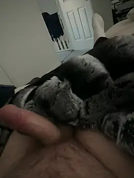 Furdale online show from 28, 2, 2026