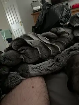 Furdale online show from 23, 3, 2026