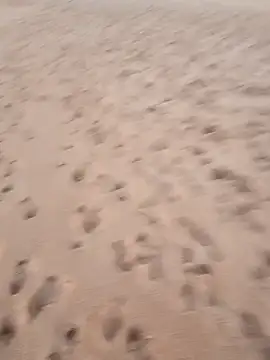 rodovlaz online show from 17, 9, 2025