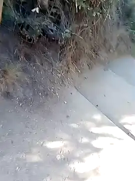 rodovlaz online show from 2, 3, 2026