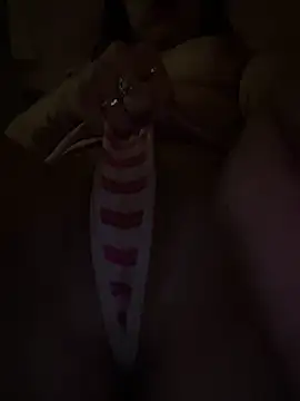 sluttyjasmine12 online show from 12, 3, 2026