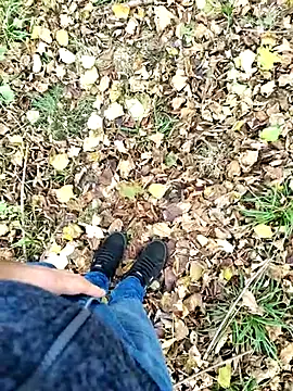 Boring one online show from 29, 10, 2025