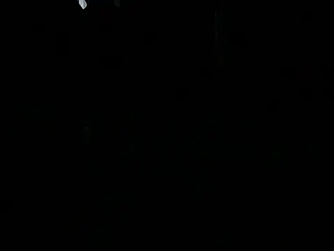 Snapshot of ALPHANDRE chatting on 4, 6, 2026 ALPHANDRE online show from 4, 6, 2026