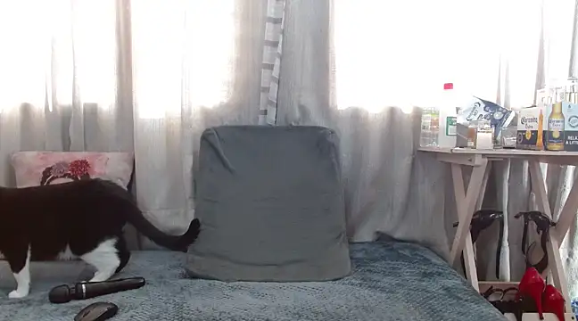 Boonny Boo01 online show from 1, 2, 2025