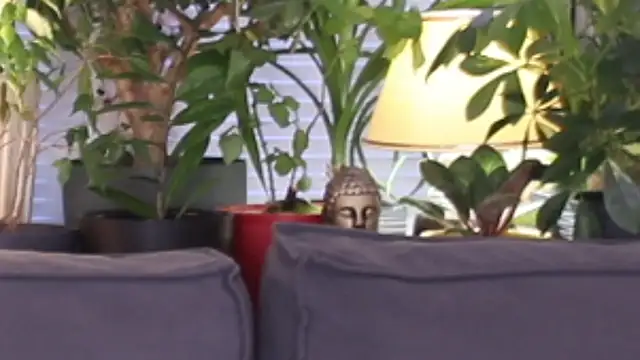 Snapshot of Lily_minx chatting on 13, 11, 2025 Lily minx online show from 13, 11, 2025