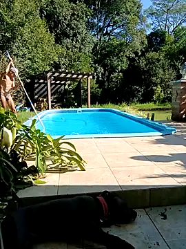 dutra498 online show from 2, 3, 2026