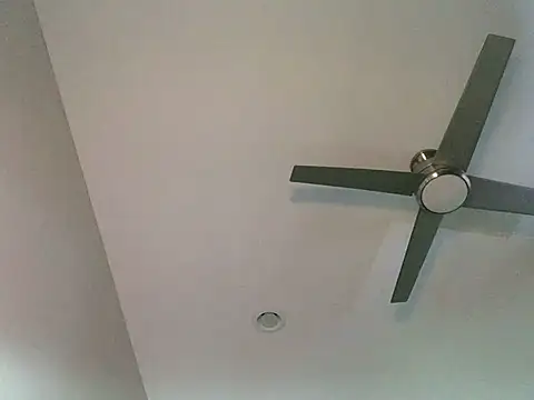 Snapshot of Londonfrotadejr chatting on 7, 3, 2025 Londonfrotadejr online show from 7, 3, 2025