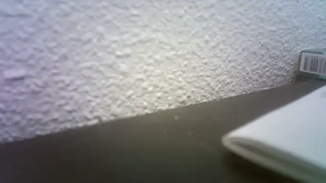 pau65vb online show from 19, 11, 2025