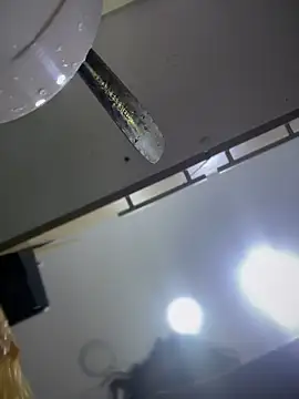 Snapshot of Tayra_Siny chatting on 14, 2, 2025 Tayra Siny online show from 14, 2, 2025