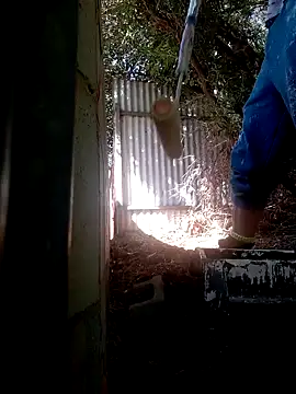 wilfukany1 online show from 24, 2, 2025